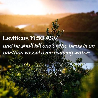 Picture 02 - Leviticus 14:50 ASV - and he shall kill one of the birds in an earthen - Bible Verse Picture