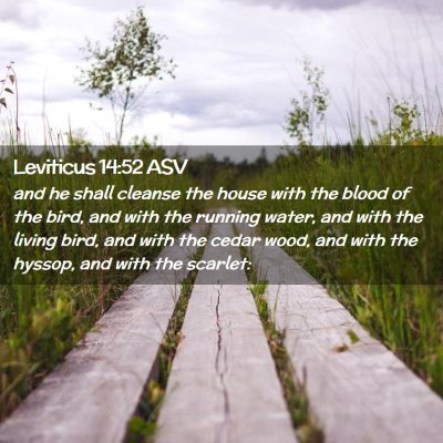 Picture 02 - Leviticus 14:52 ASV - and he shall cleanse the house with the blood of - Bible Verse Picture