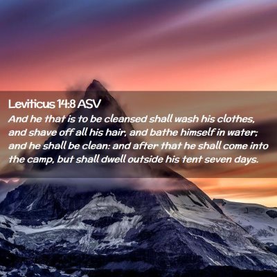 Picture 02 - Leviticus 14:8 ASV - And he that is to be cleansed shall wash his - Bible Verse Picture