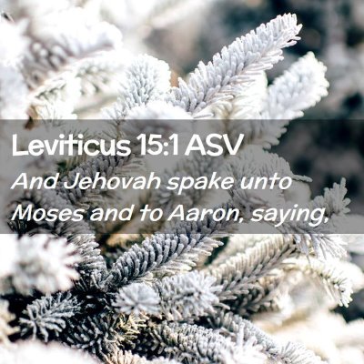Picture 02 - Leviticus 15:1 ASV - And Jehovah spake unto Moses and to Aaron, - Bible Verse Picture