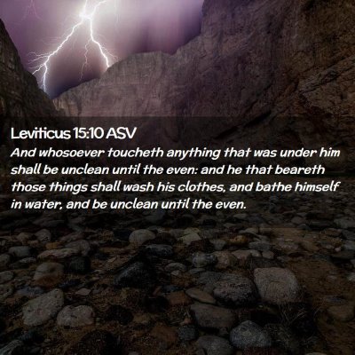 Picture 02 - Leviticus 15:10 ASV - And whosoever toucheth anything that was under - Bible Verse Picture