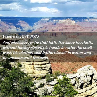 Picture 02 - Leviticus 15:11 ASV - And whomsoever he that hath the issue toucheth, - Bible Verse Picture