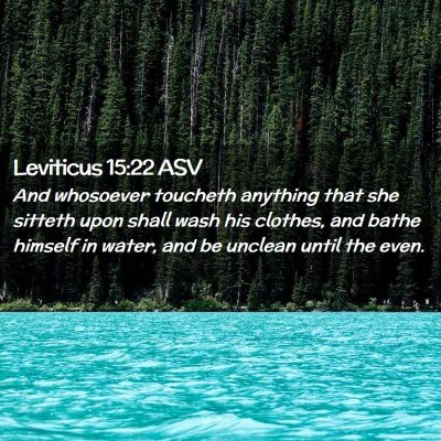 Picture 02 - Leviticus 15:22 ASV - And whosoever toucheth anything that she sitteth - Bible Verse Picture