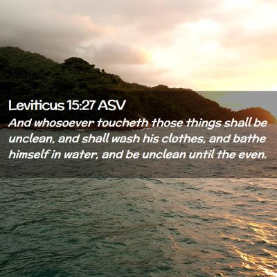 Picture 02 - Leviticus 15:27 ASV - And whosoever toucheth those things shall be - Bible Verse Picture