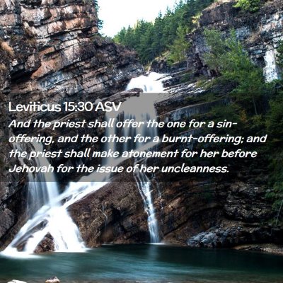 Picture 02 - Leviticus 15:30 ASV - And the priest shall offer the one for a - Bible Verse Picture