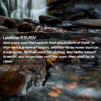 Picture 02 - Leviticus 17:15 ASV - And every soul that eateth that which dieth of - Bible Verse Picture