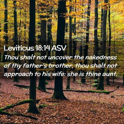 Picture 02 - Leviticus 18:14 ASV - Thou shalt not uncover the nakedness of thy - Bible Verse Picture