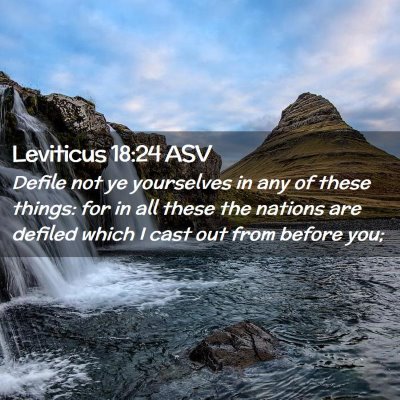 Picture 02 - Leviticus 18:24 ASV - Defile not ye yourselves in any of these things: - Bible Verse Picture