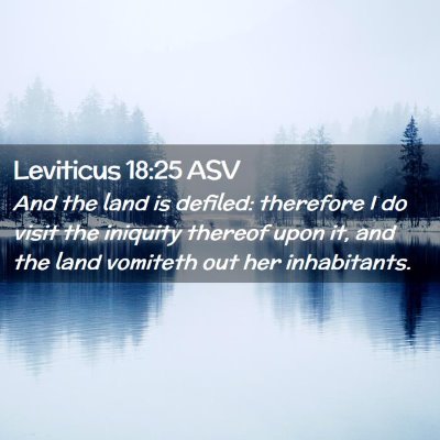 Picture 02 - Leviticus 18:25 ASV - And the land is defiled: therefore I do visit the - Bible Verse Picture
