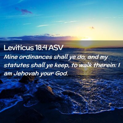 Picture 02 - Leviticus 18:4 ASV - Mine ordinances shall ye do, and my statutes - Bible Verse Picture