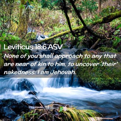 Picture 02 - Leviticus 18:6 ASV - None of you shall approach to any that are near - Bible Verse Picture