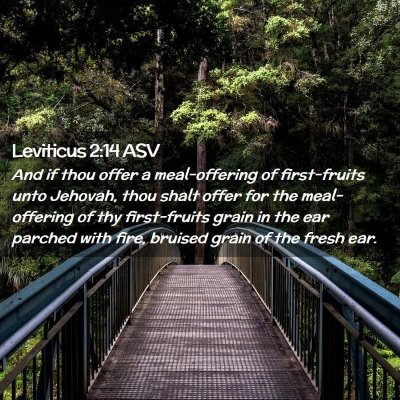 Picture 02 - Leviticus 2:14 ASV - And if thou offer a meal-offering of first-fruits - Bible Verse Picture