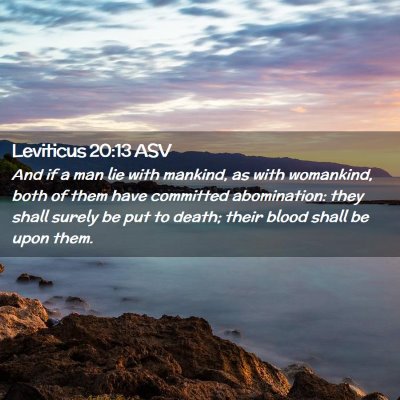 Picture 02 - Leviticus 20:13 ASV - And if a man lie with mankind, as with womankind, - Bible Verse Picture