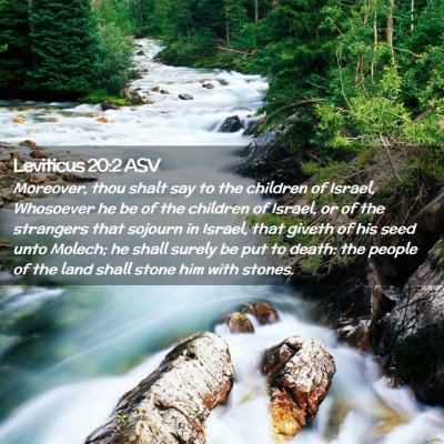 Picture 02 - Leviticus 20:2 ASV - Moreover, thou shalt say to the children of - Bible Verse Picture