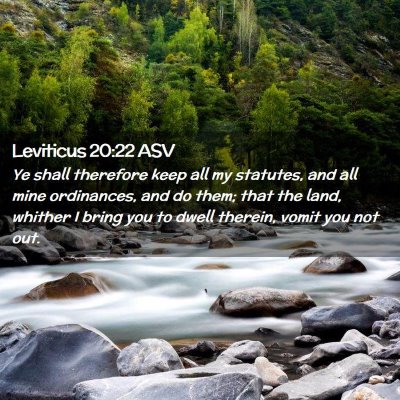 Picture 02 - Leviticus 20:22 ASV - Ye shall therefore keep all my statutes, and all - Bible Verse Picture