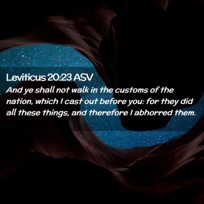 Picture 02 - Leviticus 20:23 ASV - And ye shall not walk in the customs of the - Bible Verse Picture