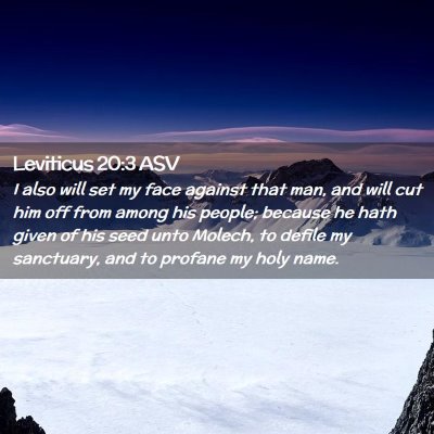 Picture 02 - Leviticus 20:3 ASV - I also will set my face against that man, and - Bible Verse Picture