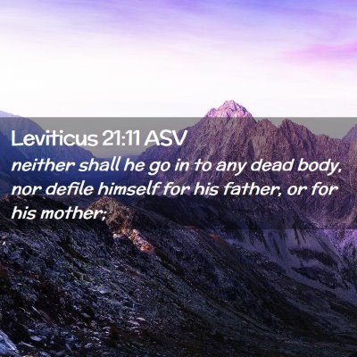 Picture 02 - Leviticus 21:11 ASV - neither shall he go in to any dead body, nor - Bible Verse Picture