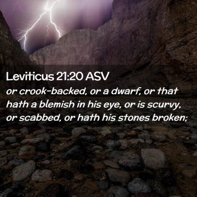 Picture 02 - Leviticus 21:20 ASV - or crook-backed, or a dwarf, or that hath a - Bible Verse Picture