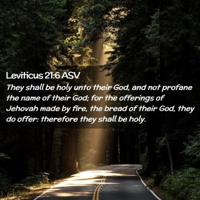 Picture 02 - Leviticus 21:6 ASV - They shall be holy unto their God, and not - Bible Verse Picture