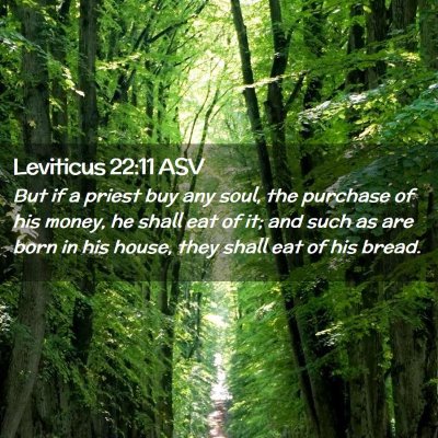 Picture 02 - Leviticus 22:11 ASV - But if a priest buy any soul, the purchase of his - Bible Verse Picture
