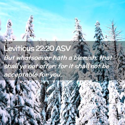 Picture 02 - Leviticus 22:20 ASV - But whatsoever hath a blemish, that shall ye not - Bible Verse Picture