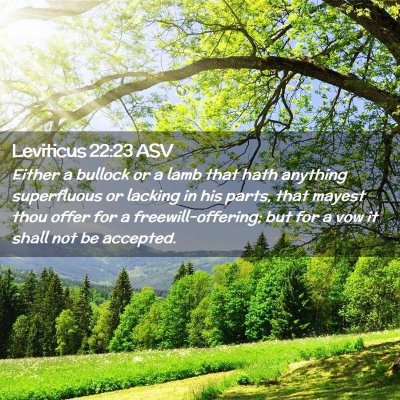 Picture 02 - Leviticus 22:23 ASV - Either a bullock or a lamb that hath anything - Bible Verse Picture
