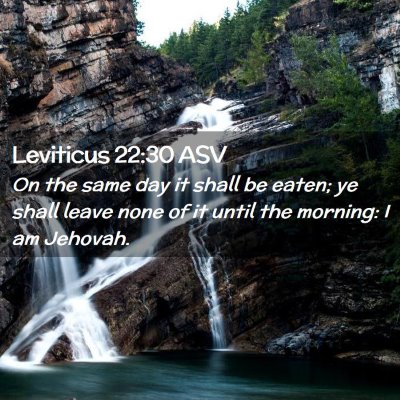 Picture 02 - Leviticus 22:30 ASV - On the same day it shall be eaten; ye shall leave - Bible Verse Picture