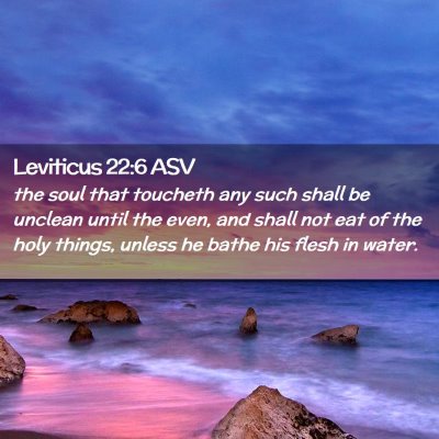 Picture 02 - Leviticus 22:6 ASV - the soul that toucheth any such shall be unclean - Bible Verse Picture