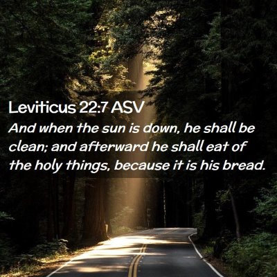 Picture 02 - Leviticus 22:7 ASV - And when the sun is down, he shall be clean; and - Bible Verse Picture