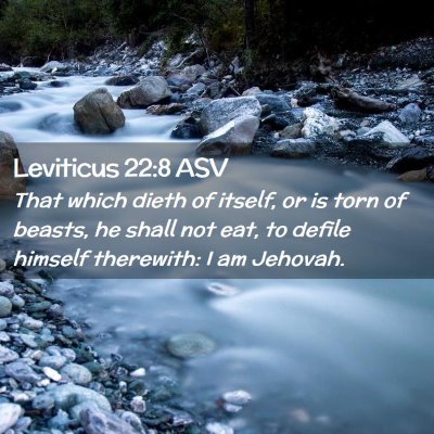 Picture 02 - Leviticus 22:8 ASV - That which dieth of itself, or is torn of beasts, - Bible Verse Picture