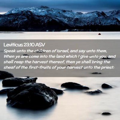 Picture 02 - Leviticus 23:10 ASV - Speak unto the children of Israel, and say unto - Bible Verse Picture
