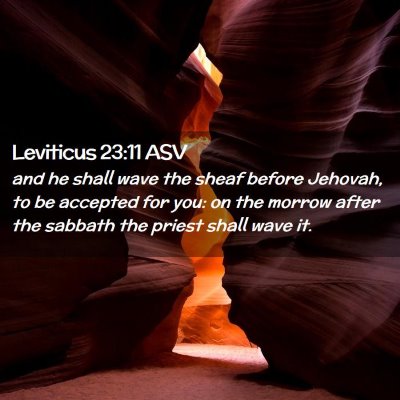 Picture 02 - Leviticus 23:11 ASV - and he shall wave the sheaf before Jehovah, to be - Bible Verse Picture
