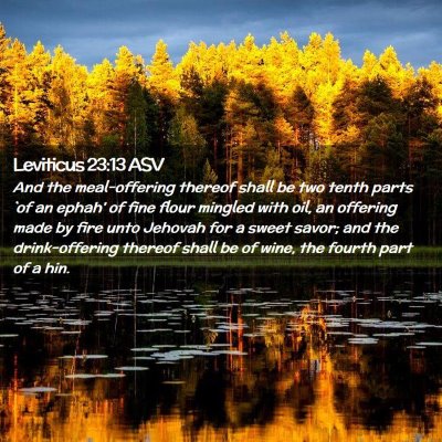 Picture 02 - Leviticus 23:13 ASV - And the meal-offering thereof shall be two tenth - Bible Verse Picture