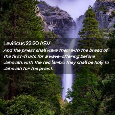 Picture 02 - Leviticus 23:20 ASV - And the priest shall wave them with the bread of - Bible Verse Picture