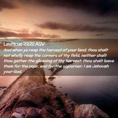 Picture 02 - Leviticus 23:22 ASV - And when ye reap the harvest of your land, thou - Bible Verse Picture