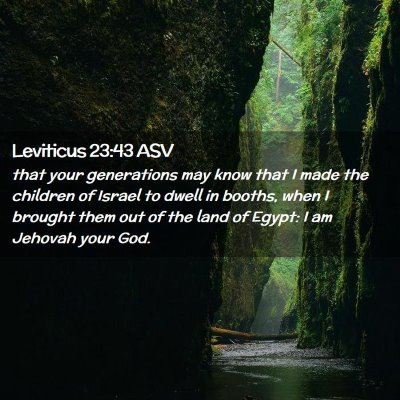 Picture 02 - Leviticus 23:43 ASV - that your generations may know that I made the - Bible Verse Picture