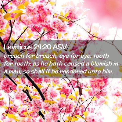 Picture 02 - Leviticus 24:20 ASV - breach for breach, eye for eye, tooth for tooth; - Bible Verse Picture
