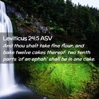 Picture 02 - Leviticus 24:5 ASV - And thou shalt take fine flour, and bake twelve - Bible Verse Picture