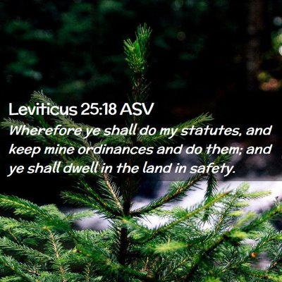 Picture 02 - Leviticus 25:18 ASV - Wherefore ye shall do my statutes, and keep mine - Bible Verse Picture