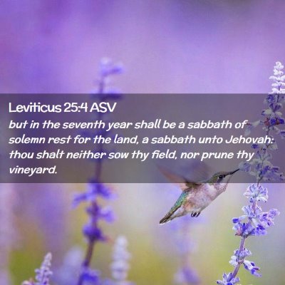 Picture 02 - Leviticus 25:4 ASV - but in the seventh year shall be a sabbath of - Bible Verse Picture