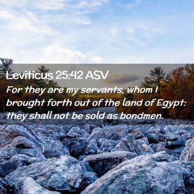 Picture 02 - Leviticus 25:42 ASV - For they are my servants, whom I brought forth - Bible Verse Picture