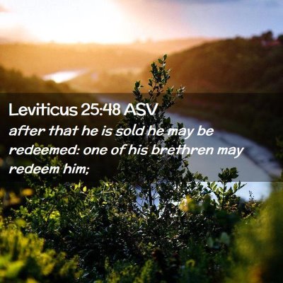 Picture 02 - Leviticus 25:48 ASV - after that he is sold he may be redeemed: one of - Bible Verse Picture