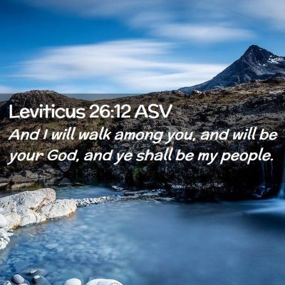 Picture 02 - Leviticus 26:12 ASV - And I will walk among you, and will be your God, - Bible Verse Picture