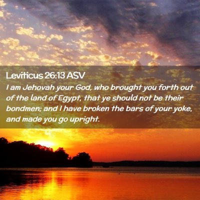 Picture 02 - Leviticus 26:13 ASV - I am Jehovah your God, who brought you forth out - Bible Verse Picture