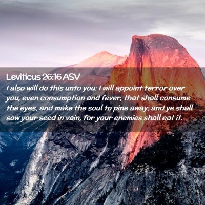 Picture 02 - Leviticus 26:16 ASV - I also will do this unto you: I will appoint - Bible Verse Picture