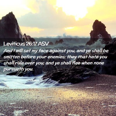 Picture 02 - Leviticus 26:17 ASV - And I will set my face against you, and ye shall - Bible Verse Picture