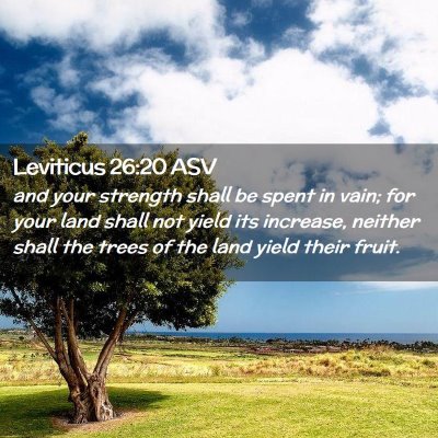 Picture 02 - Leviticus 26:20 ASV - and your strength shall be spent in vain; for - Bible Verse Picture