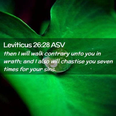 Picture 02 - Leviticus 26:28 ASV - then I will walk contrary unto you in wrath; and - Bible Verse Picture