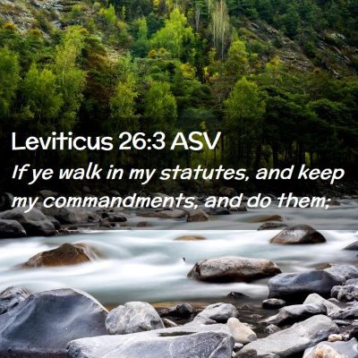 Picture 02 - Leviticus 26:3 ASV - If ye walk in my statutes, and keep my - Bible Verse Picture